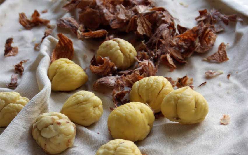 Aprenda a descascar castanhas de forma muito rápida e fácil! 3.9 (15)